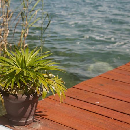 Seven Blue House Village & Lodge Bacalar Exterior foto